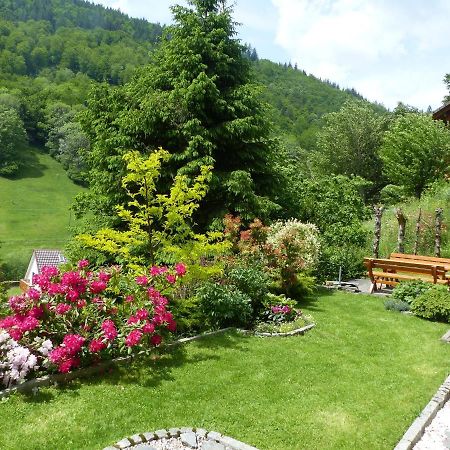 Haus Zur Eule Apartment Todtnau Luaran gambar