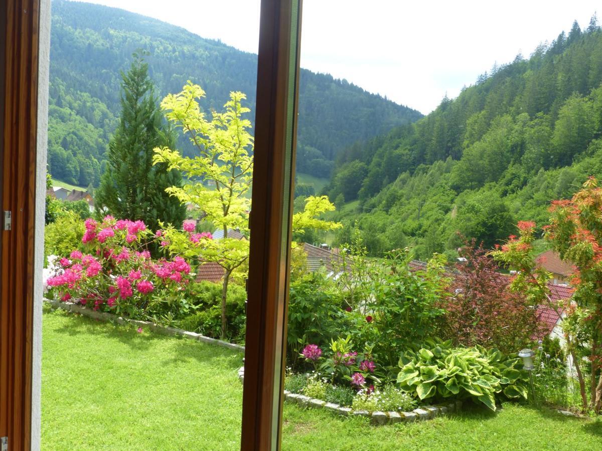 Haus Zur Eule Apartment Todtnau Luaran gambar