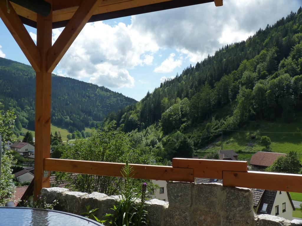 Haus Zur Eule Apartment Todtnau Bilik gambar